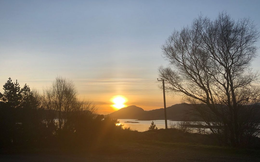 Tiny Daffodils, Hats & Sunsets